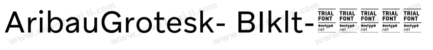 AribauGrotesk- BIklt字体转换